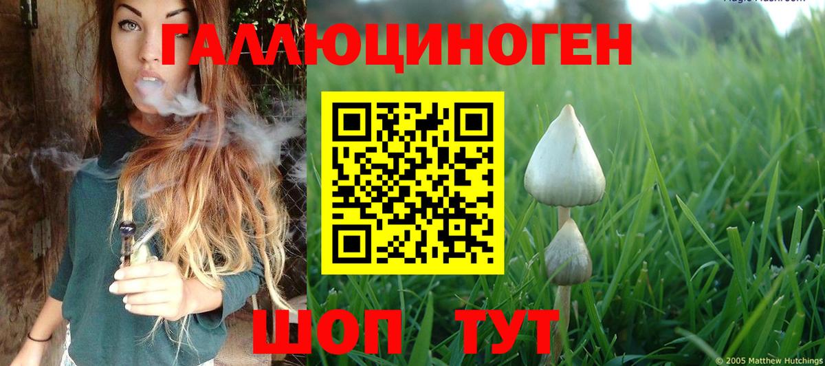 Псилоцибиновые грибы GOLDEN TEACHER  Вход с VPN  Псилоцибиновые грибы ЛСД  Железноводск 
