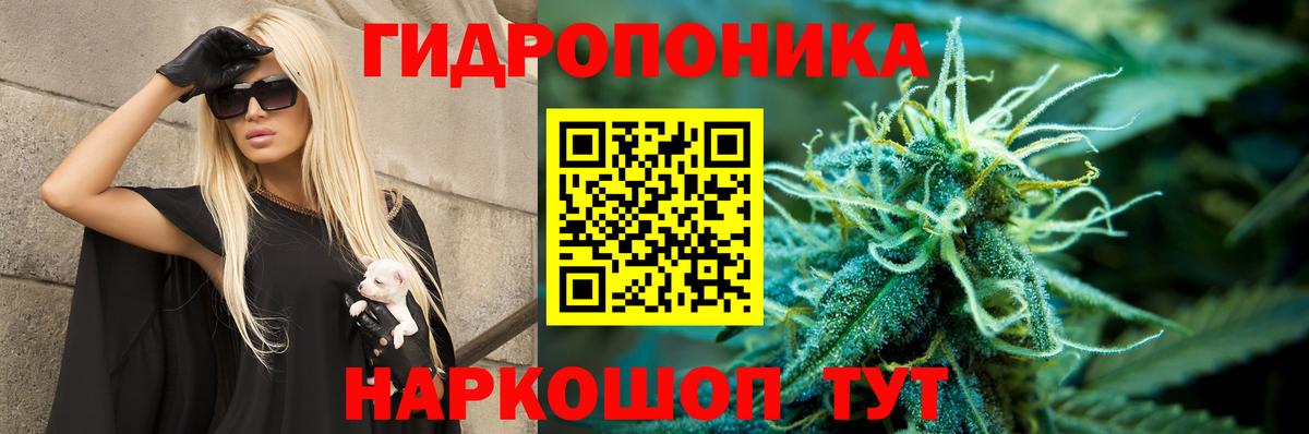 Бошки марихуана AK-47 Железноводск